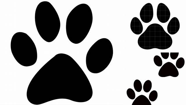 14+ Cat Images For Cricut Cat Paw Print Svg