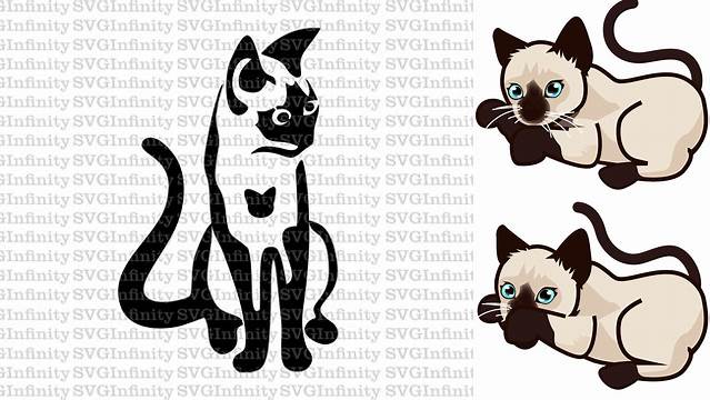 27+ Siamese Cat Svg Birthday Cat Svg