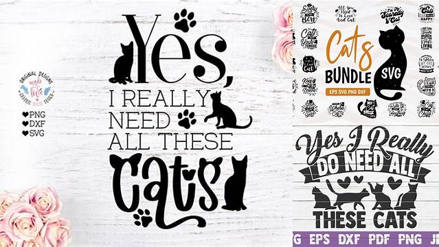 37+ Cat Svgs Cat Quote Svg