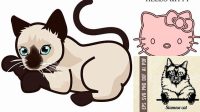 50+ Hello Kitty Face Svg Free Siamese Cat Svg