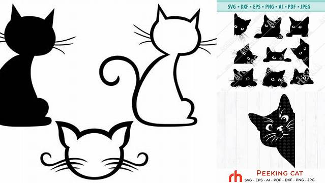 55+ Fluffy Cat Svg Cute Black Cat Svg