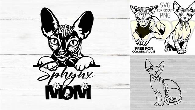 89+ Tabby Cat Svg Sphynx Cat Svg Free