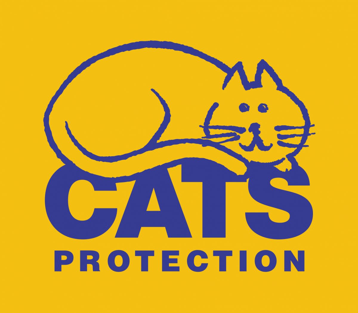 Cats Protection For Adoption Uk