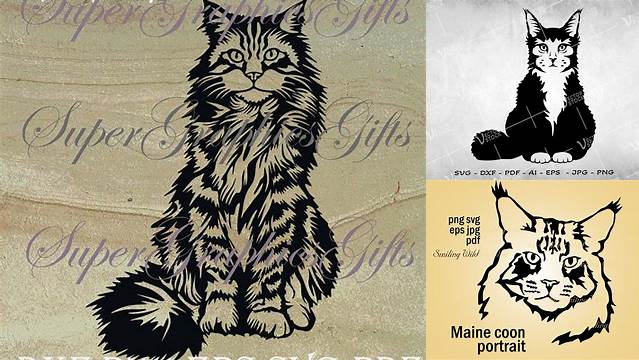 Maine Coon Cat SVG Main coon portrait svg Cat face Svg Cat | Etsy