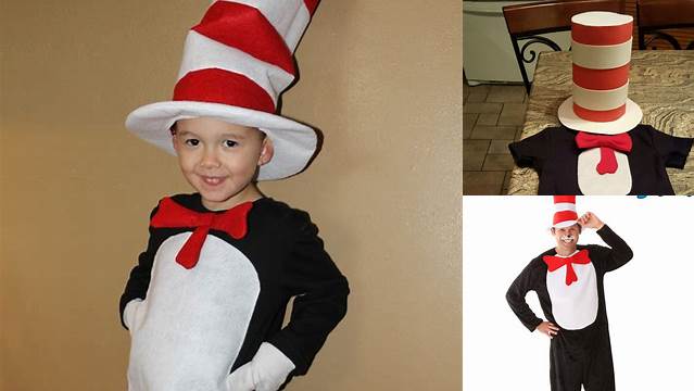 17+ Diy cat and the hat costume info | 44 Fashion Street