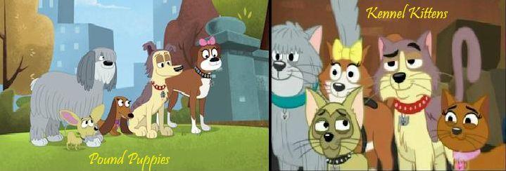 Pound Puppies And Kittens