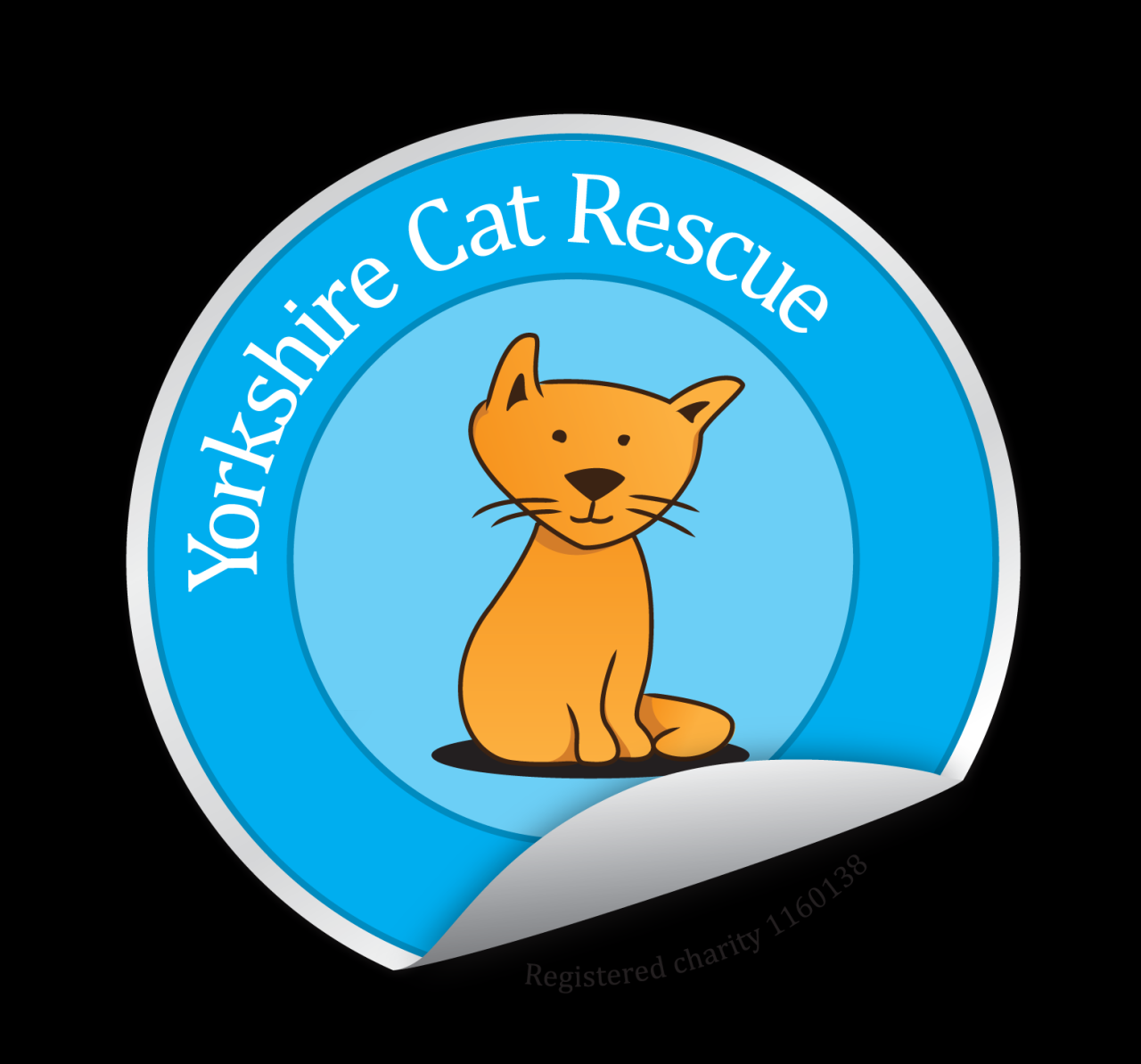 Yorkshire Cat Rescue Kittens