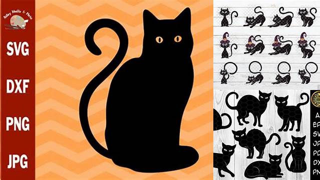 Black Cat SVG Halloween in SVG, DXF, PNG, EPS, JPG (354322) | Cut Files