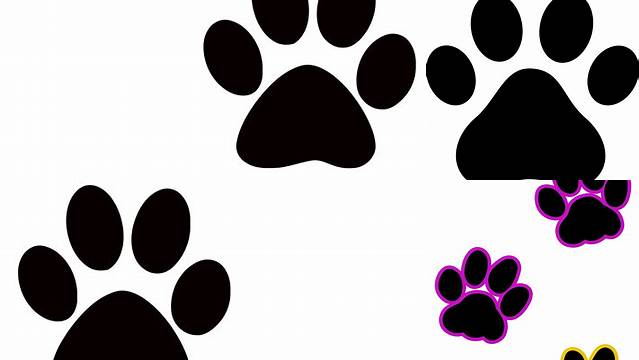 Free Cat Paw Prints Transparent, Download Free Cat Paw Prints